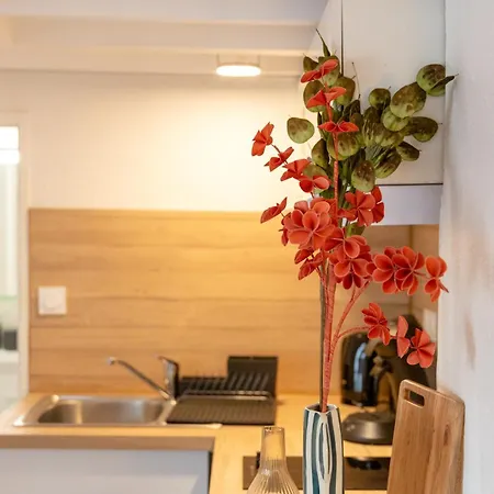 Le Peri - Douillet En Hypercentre تولوز